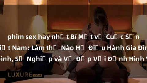 phim sex hay nhất Bí Mật về Cuộc Sống Của Các MILF Việt Nam: Làm thế Nào Họ Điều Hành Gia Đình, Sự Nghiệp và Vẻ Đẹp Với Định Hình Văn Hóa Đương Đại